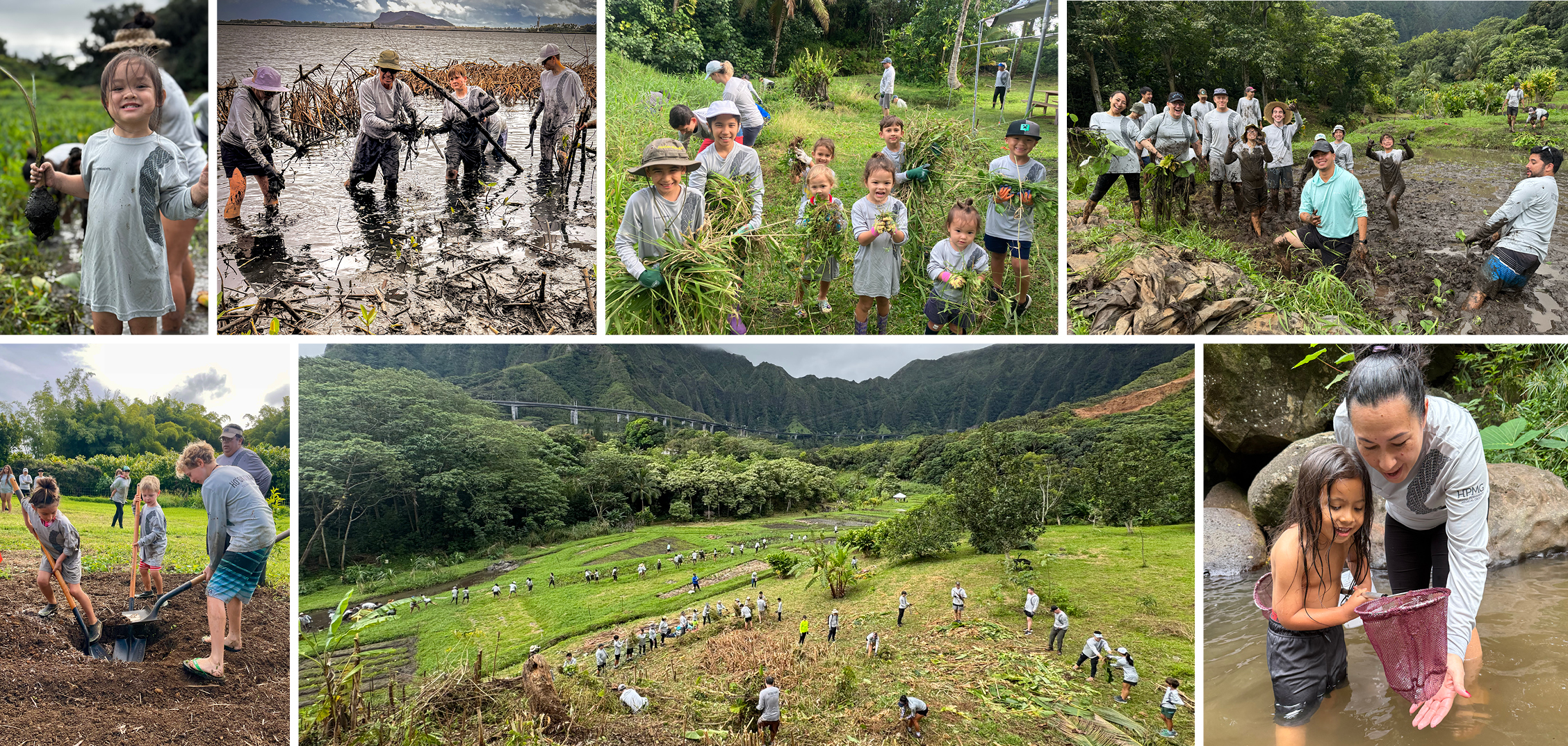 ADOS 2025 Photo Contest Winners